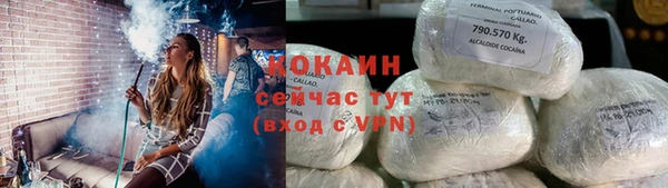 стафф Заводоуковск