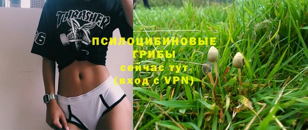 стафф Заводоуковск